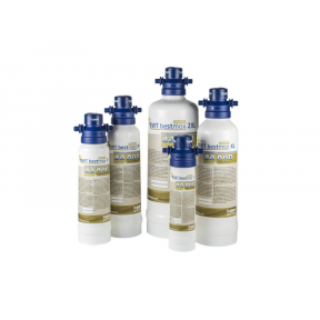 Фільтр BWT bestmax Premium XL у зборі (картридж+голова+лічильник)